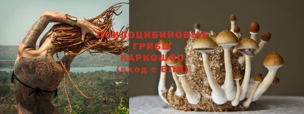 apvp Белоозёрский